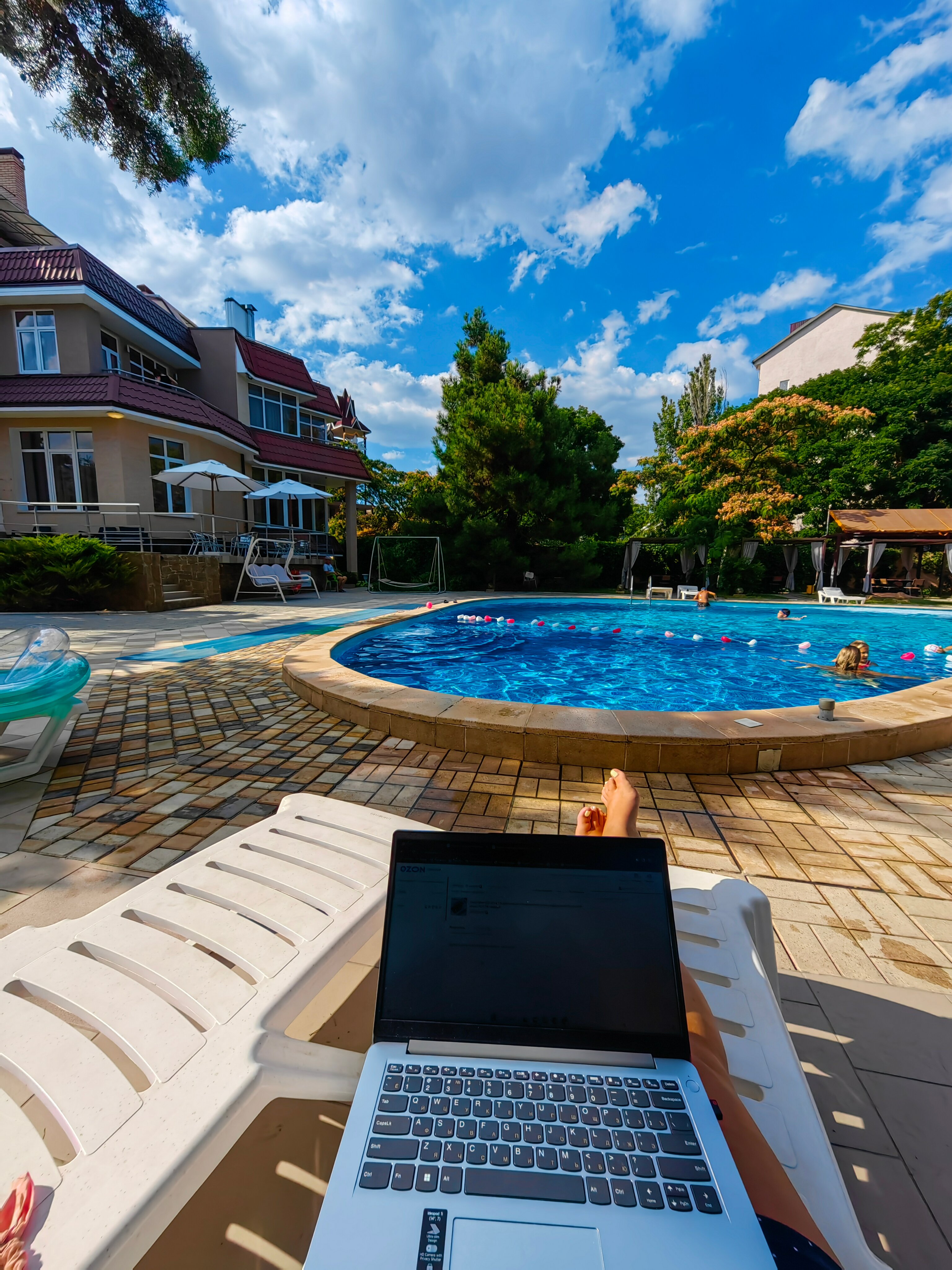 Фото Морской конек