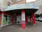 Lingua Course (ulitsa Geroya A.A. Averkiyeva, 16), cursos de idiomas extranjeros