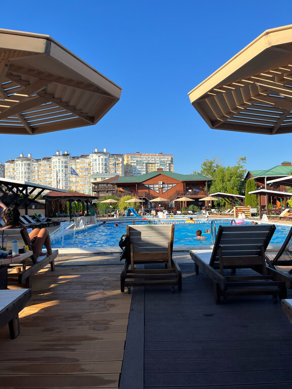 Фото Афалина