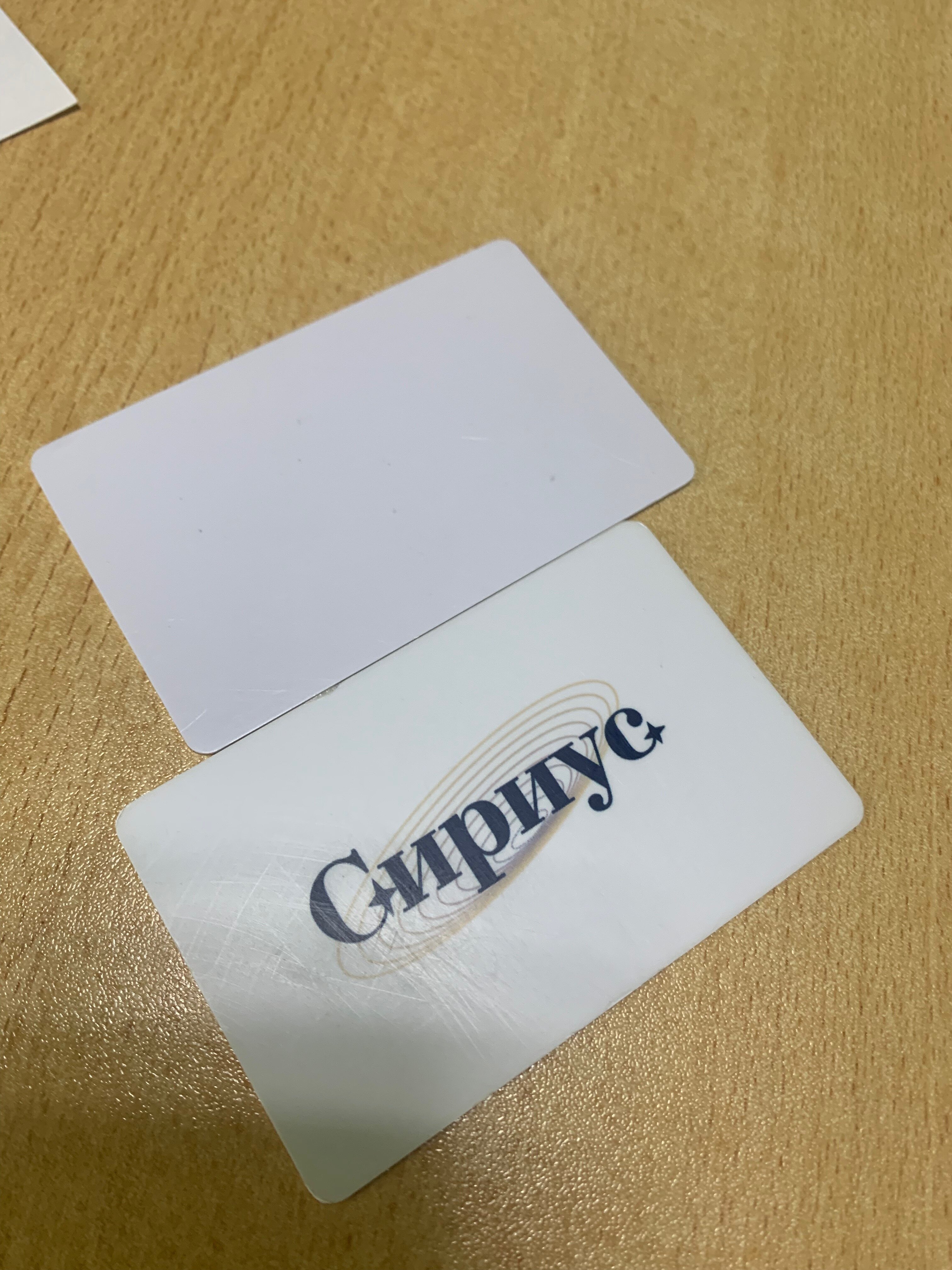 Фото Сириус