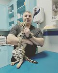 Provet Veterinary Clinic (15/1, 28 Street, Hor Al Anz East, Deira, Dubai), veterinary clinic