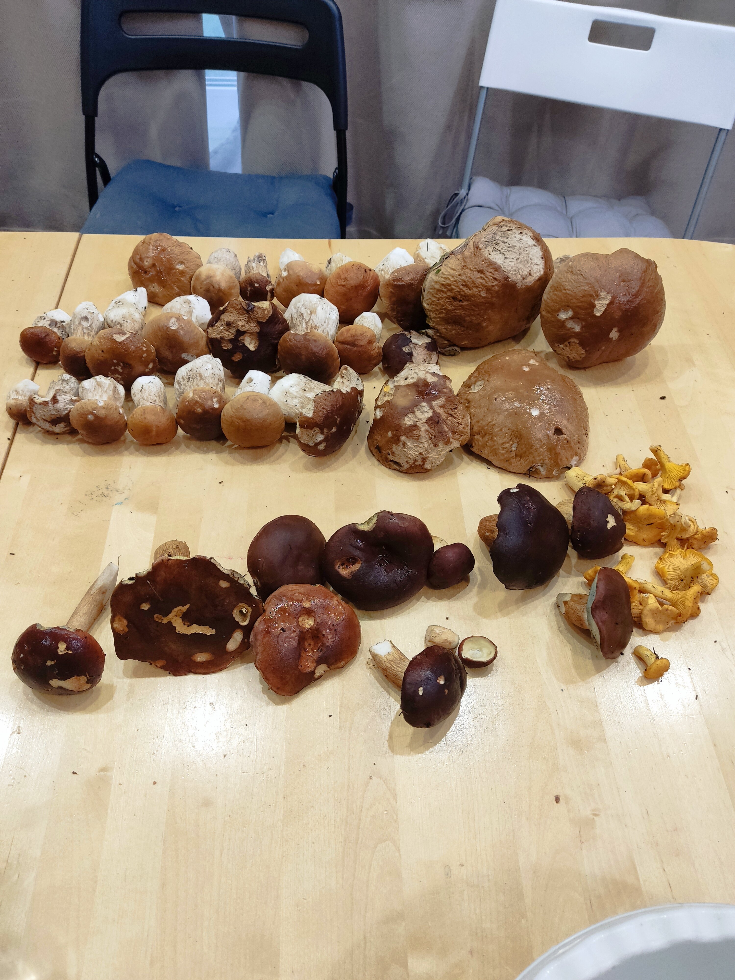 Фото Славянка