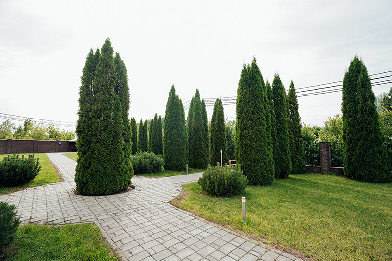 Фото Северная