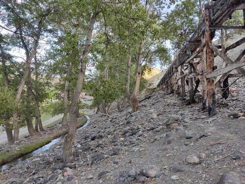 Арық жеке фотосурет