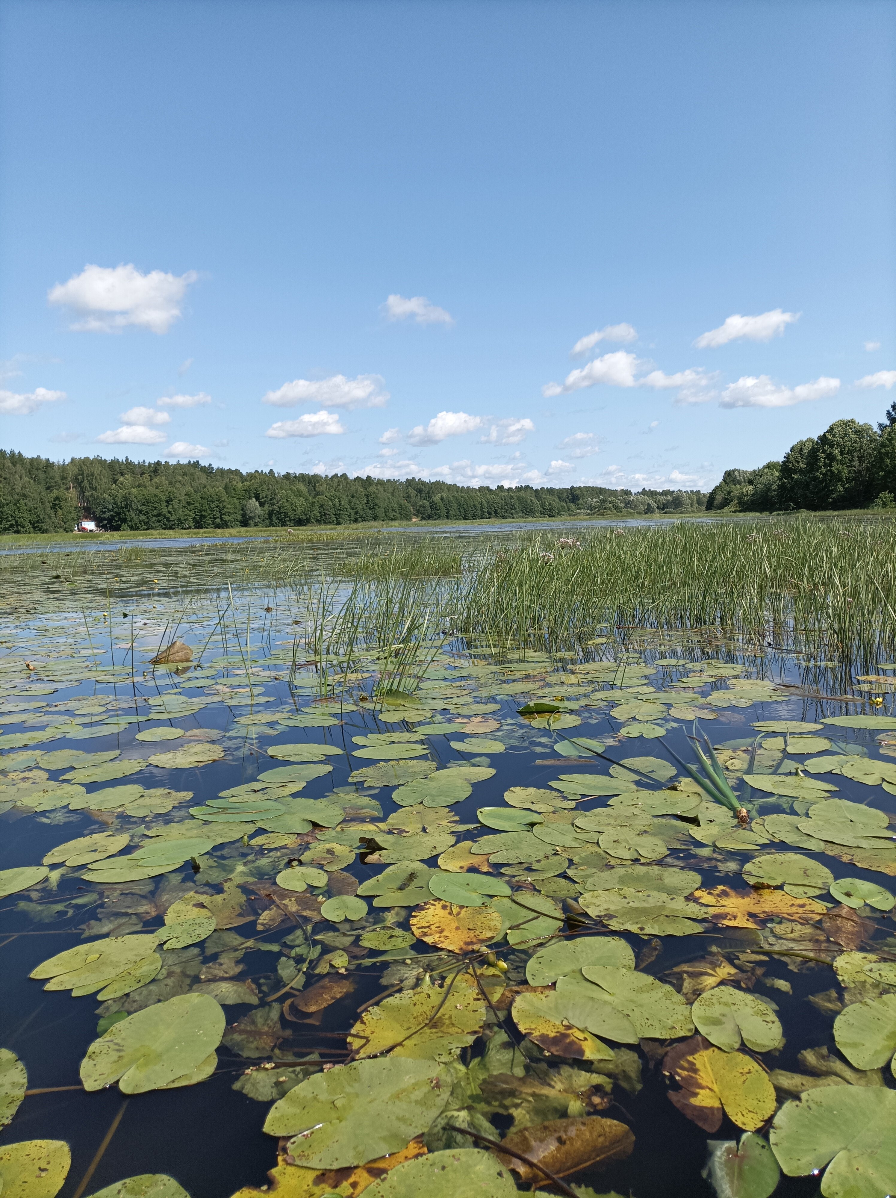 Фото Щукино