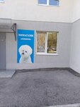 Бишон (Tukhachevskogo Street, 40А), tienda de animales