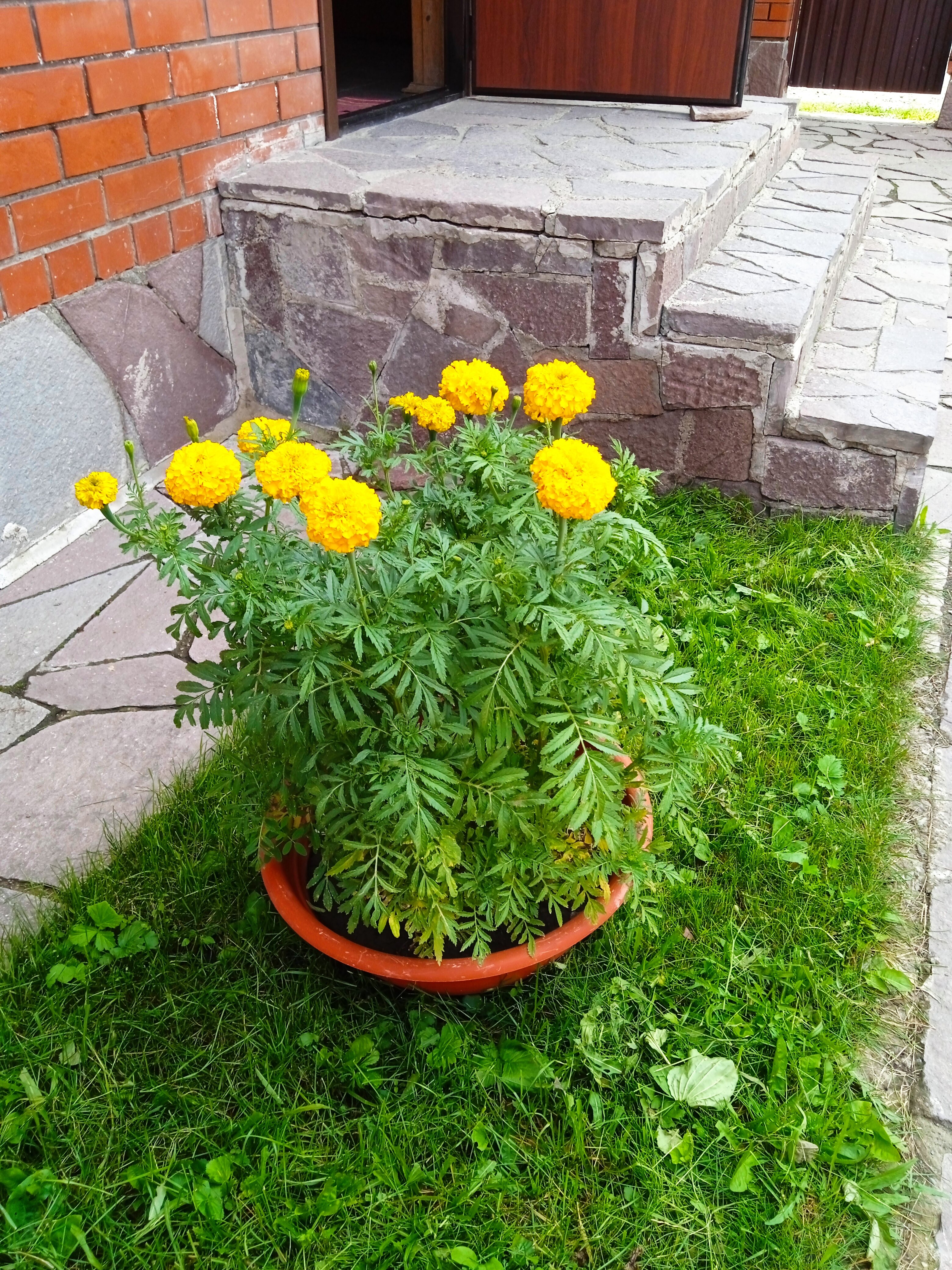 Фото Дарина