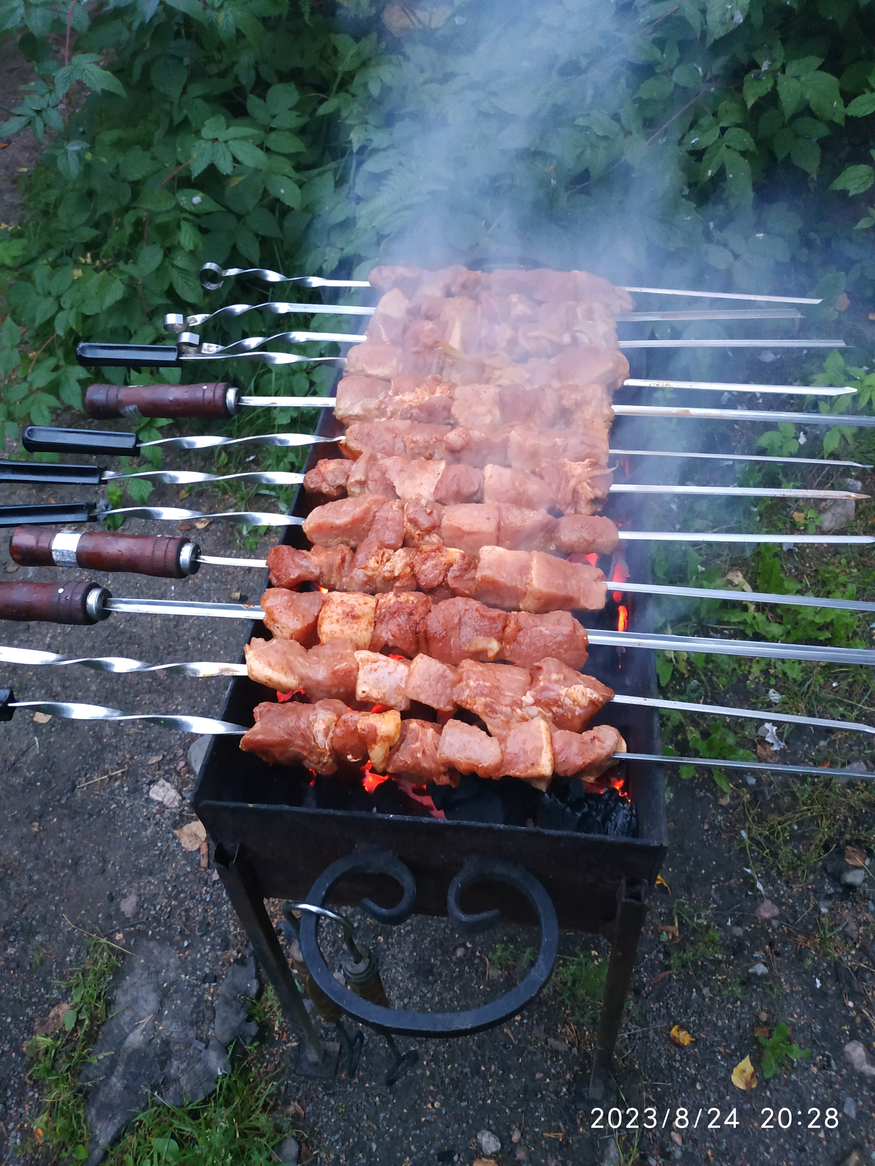 Фото Беличье