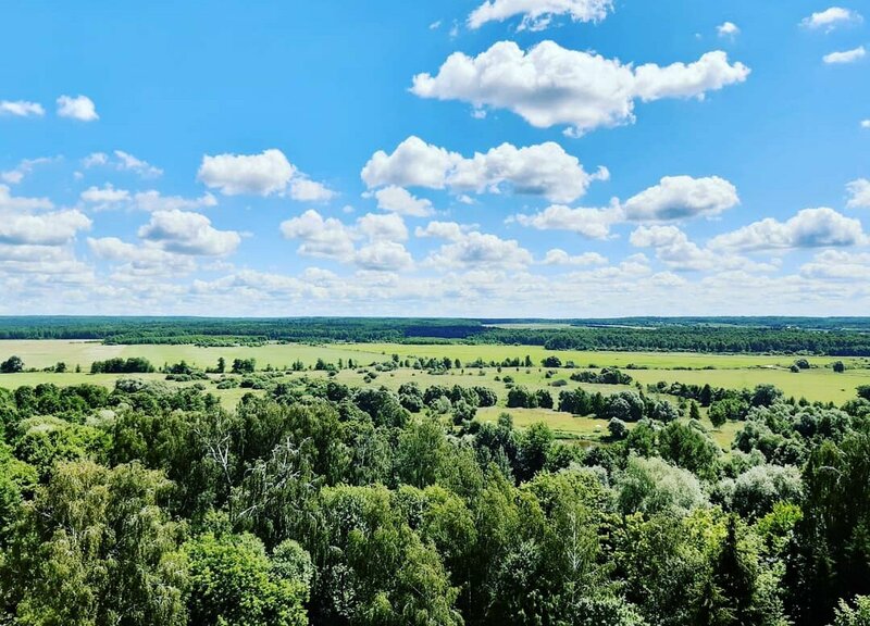 Воробьёво — фото 28