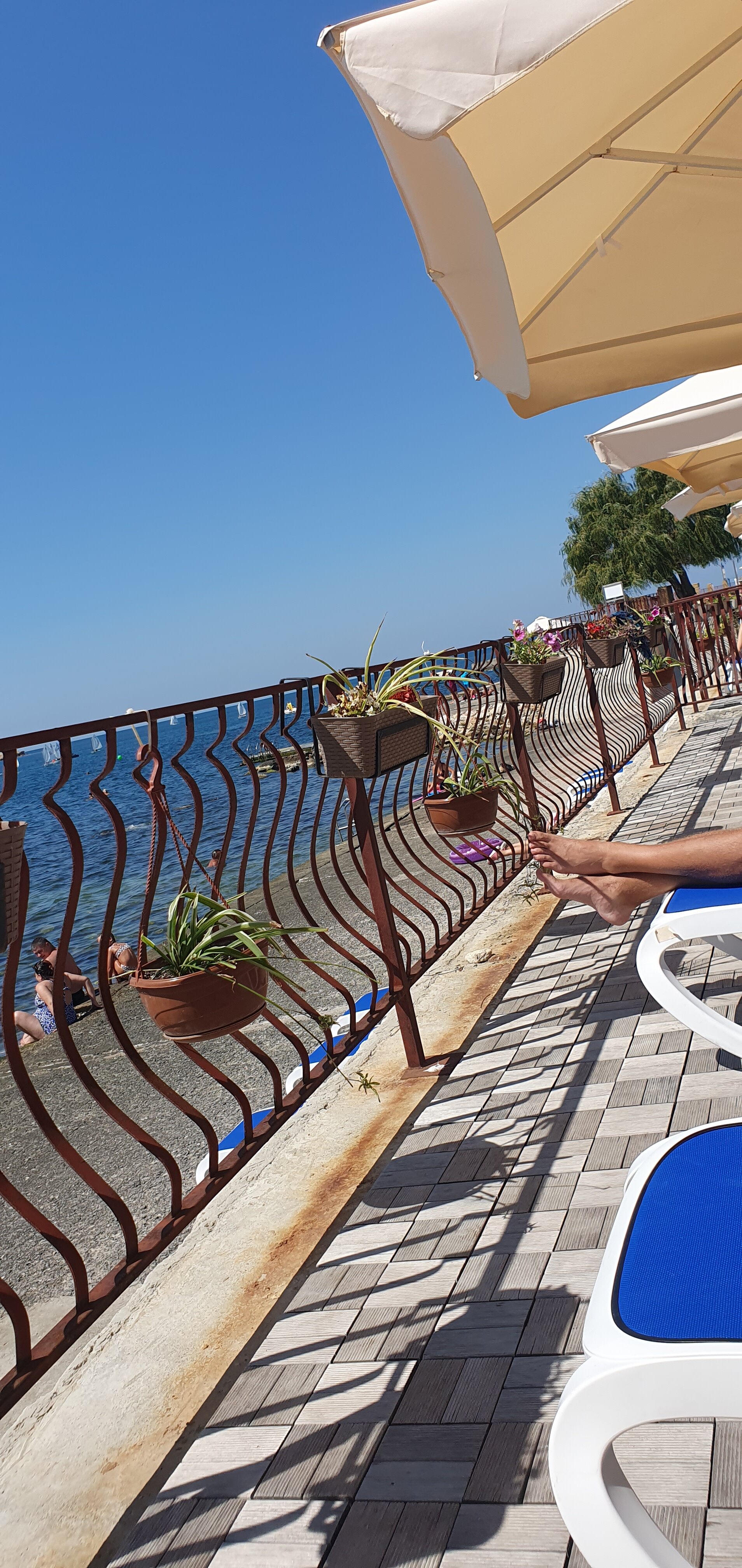 Фото Яхт клуб Юг