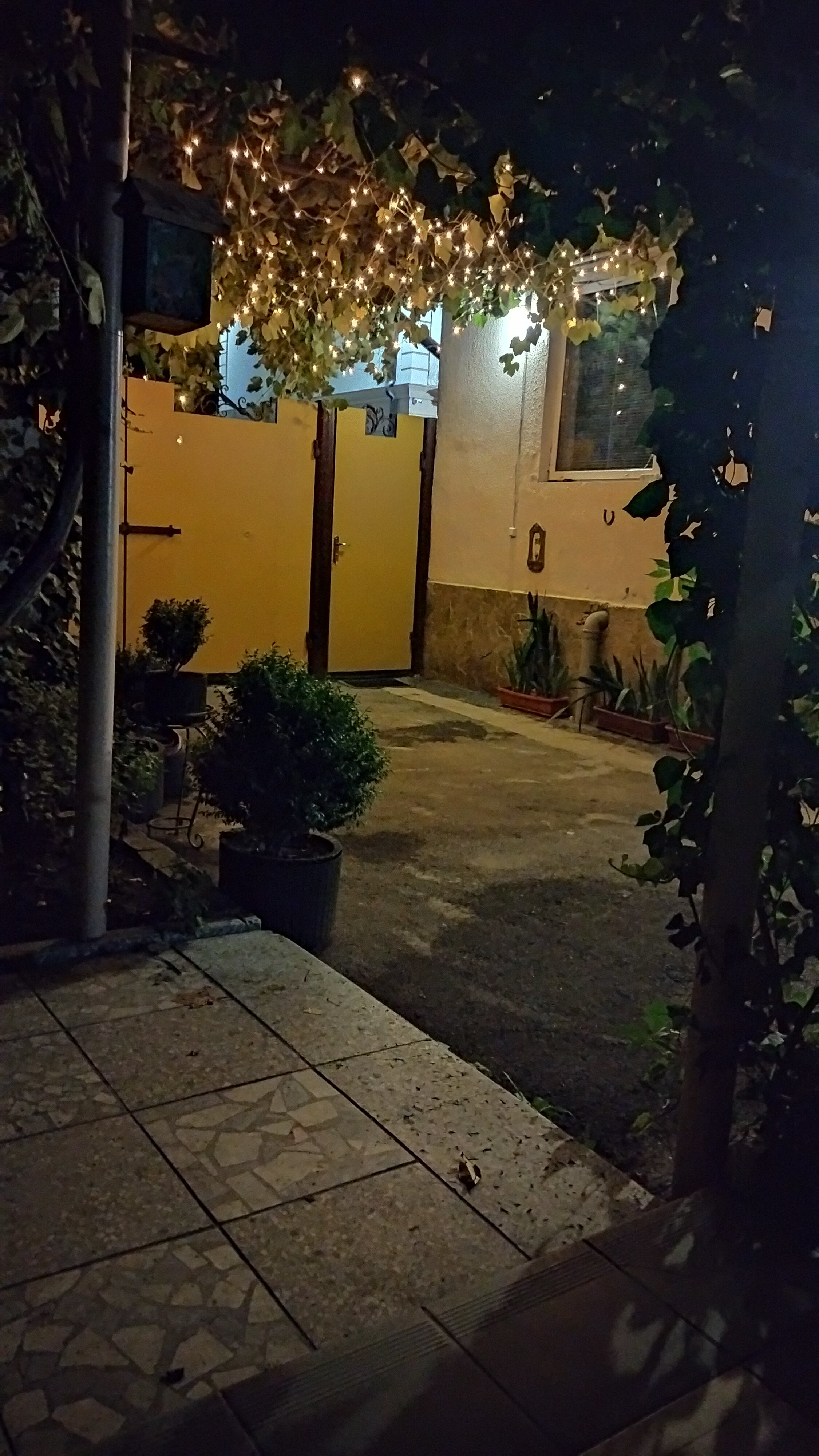 Фото У Нонны