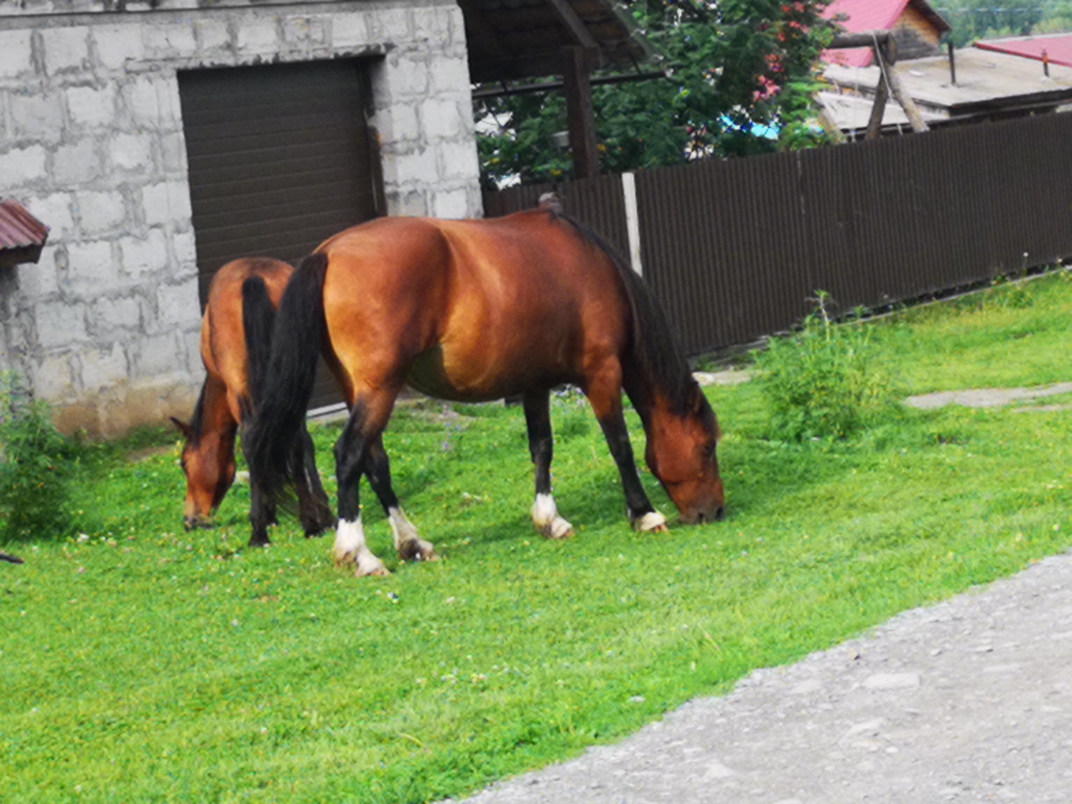 Фото Горный источник