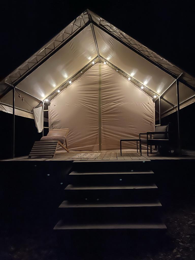 Фото Горный Енот