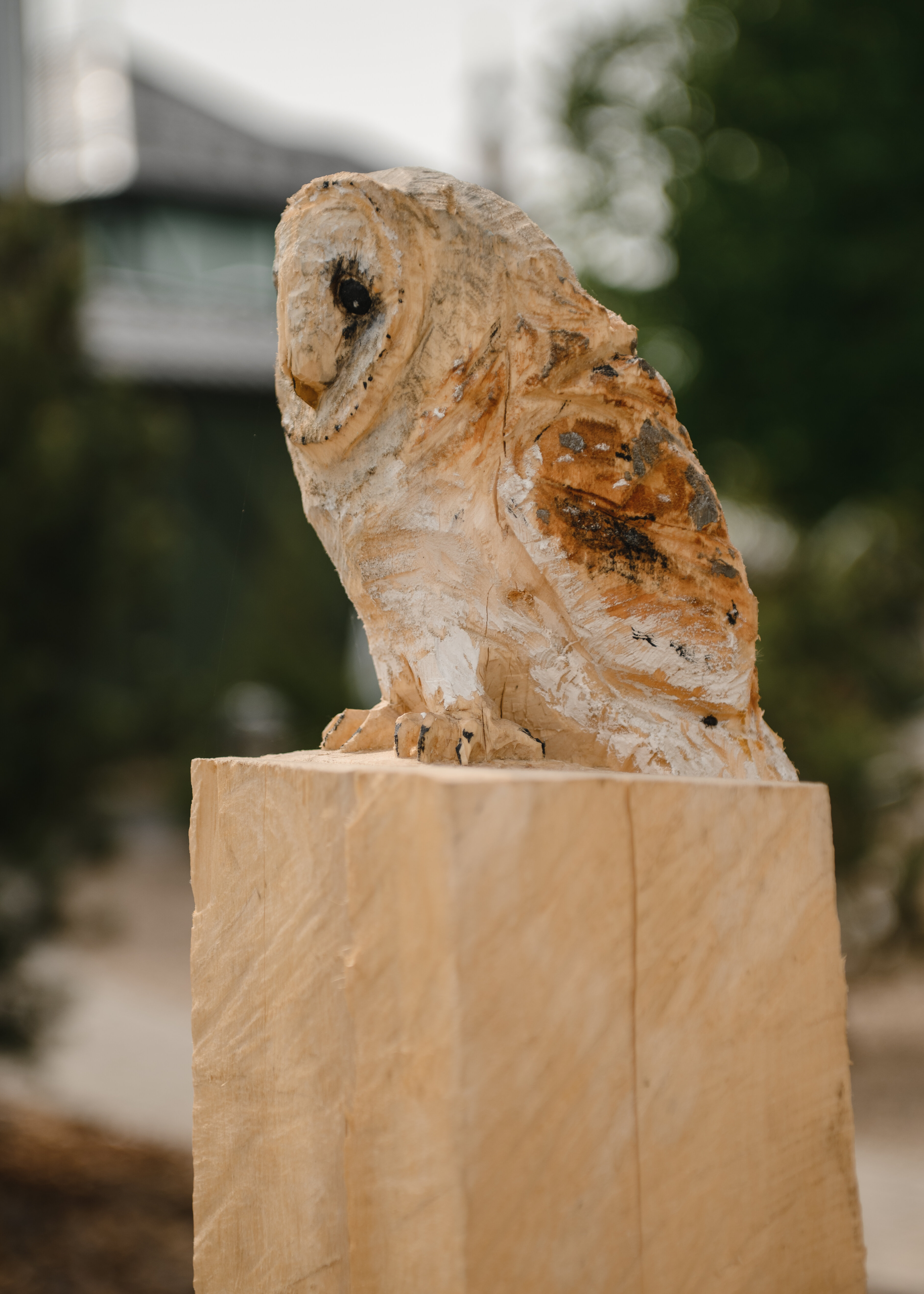 Фото Отель Зелёная Сова