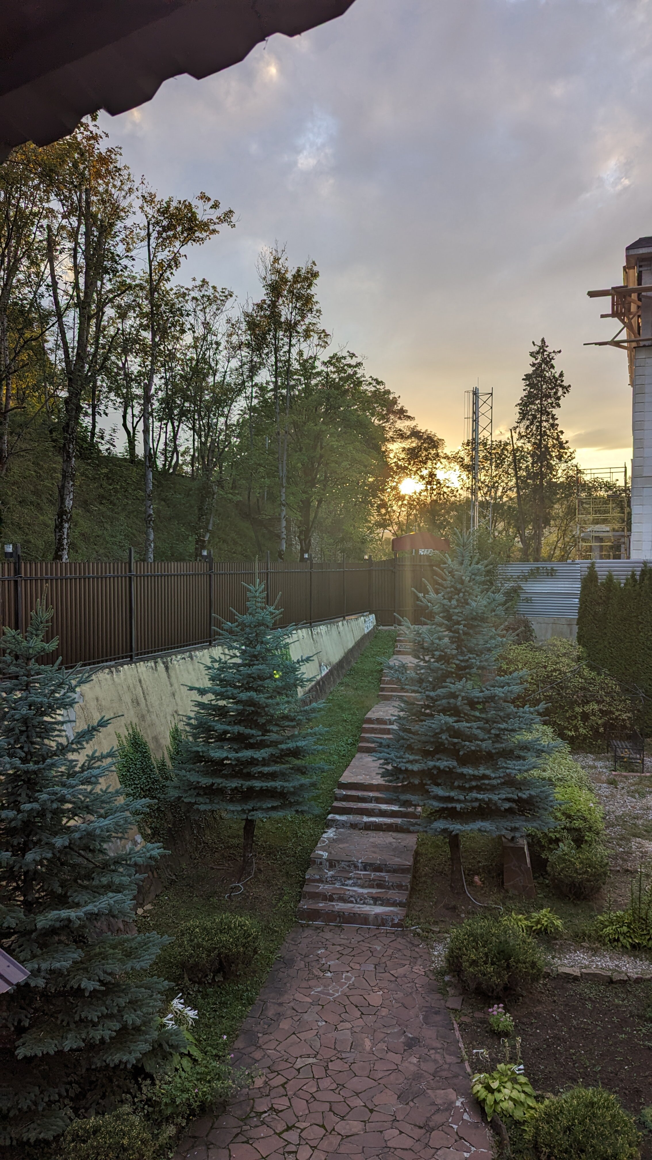 Фото Золотой Гусь