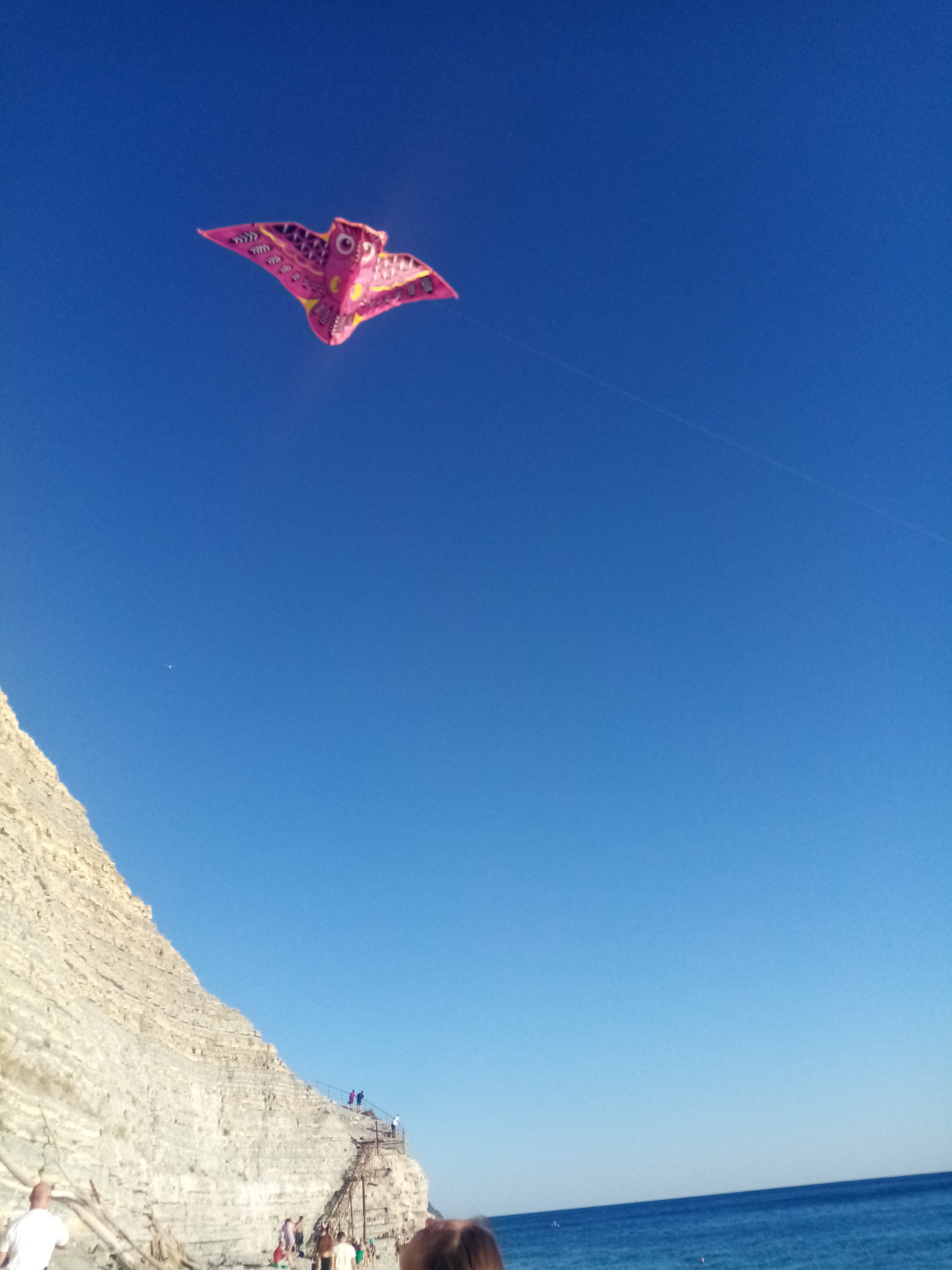 Фото Сосновка