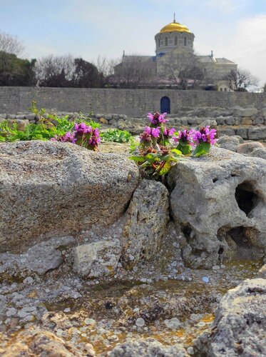 Museum National Preserve of Tauric Chersonesos, Sevastopol, photo