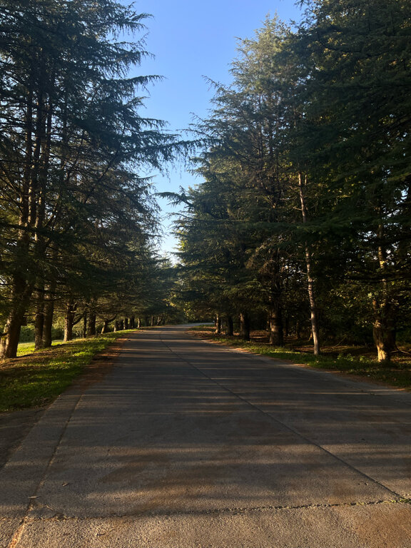 Фото Rodnik village&spa