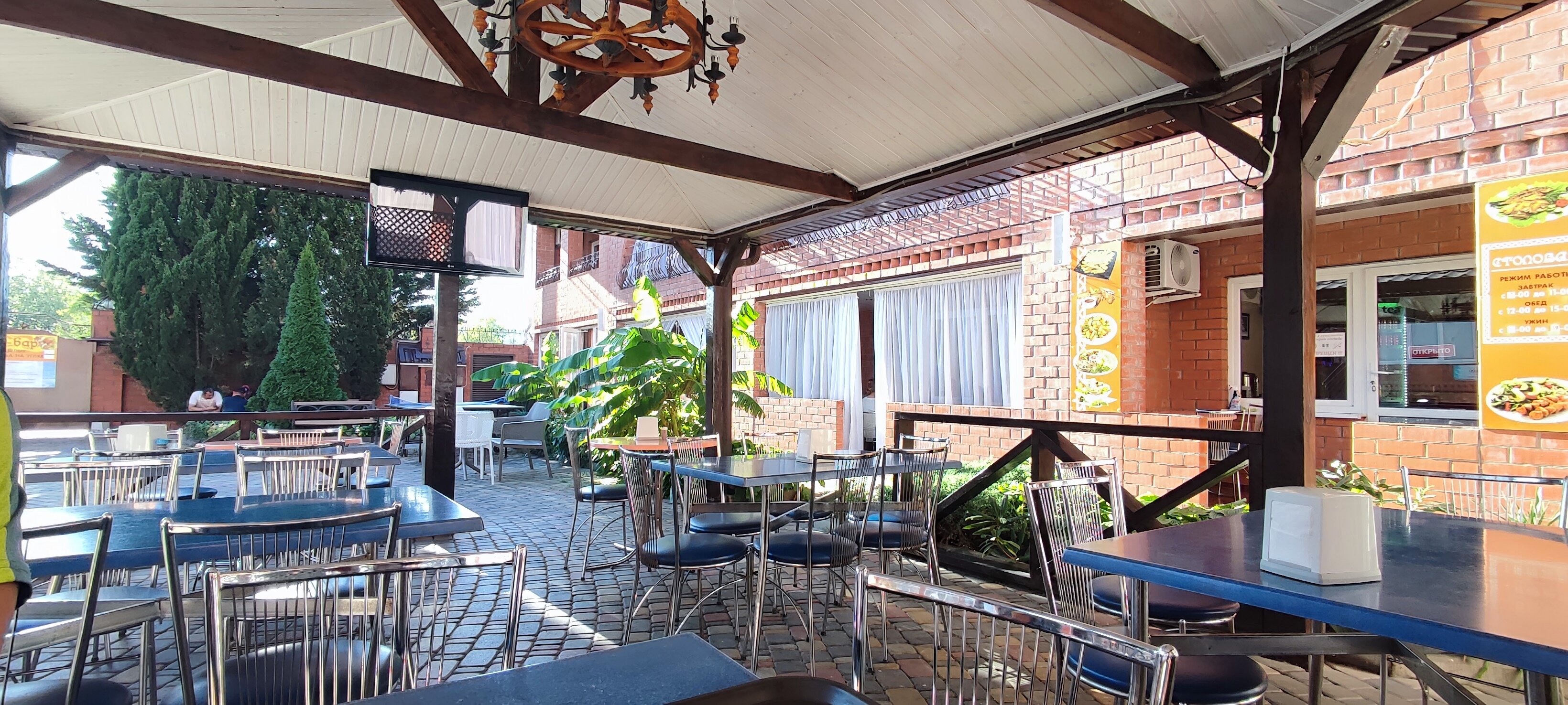 Фото Багира