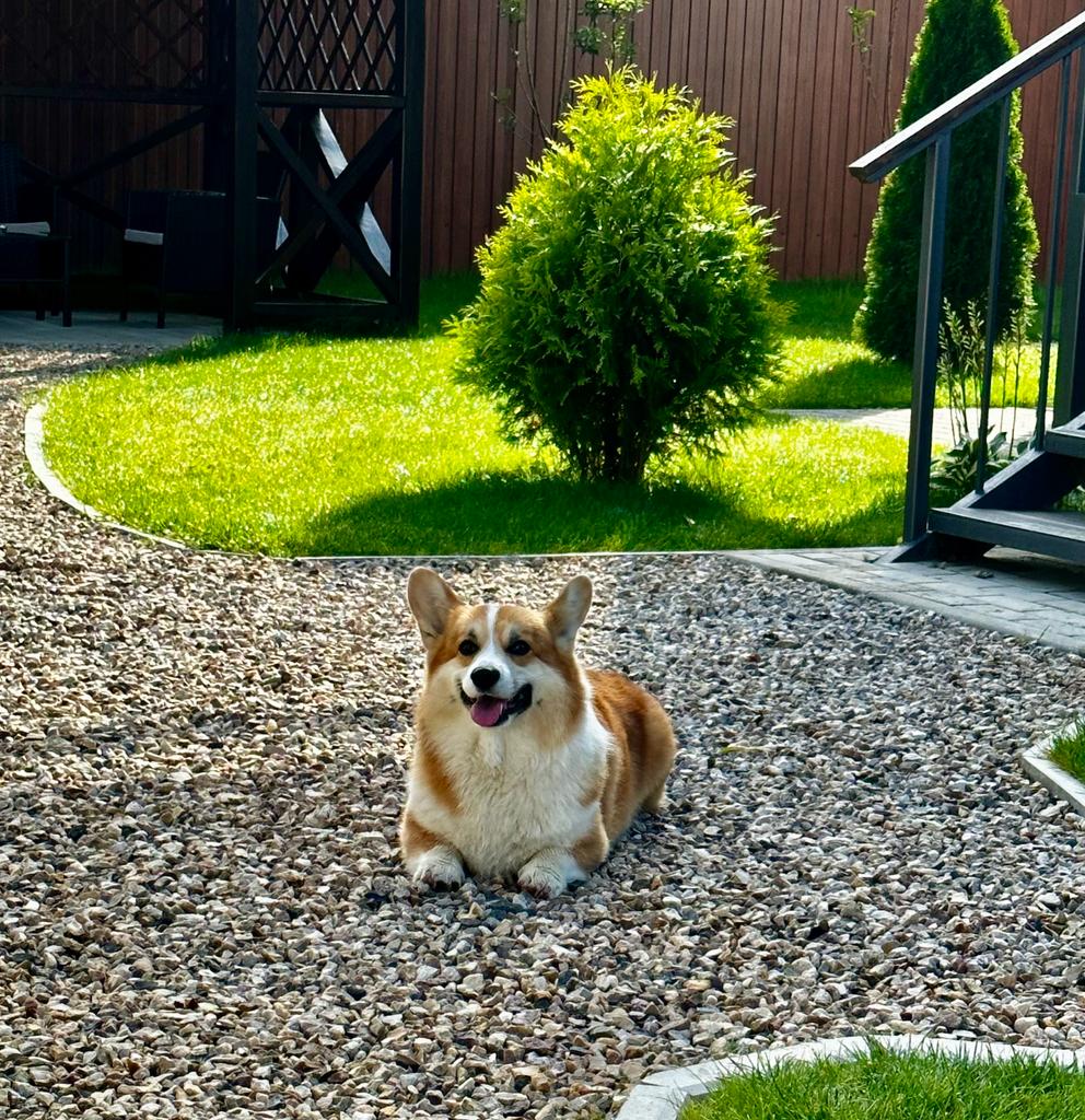 Фото Дом Жиздра