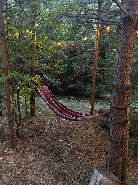 Фото Хвойная Хижина