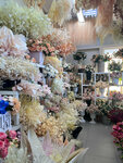 Decorchina (Vyborgskaya Street, 82), plantas y flores artificiales