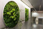 Fitostor (Saint Petersburg, Yuriya Gagarina Avenue, 1) ، المناظر الطبيعية للمباني
