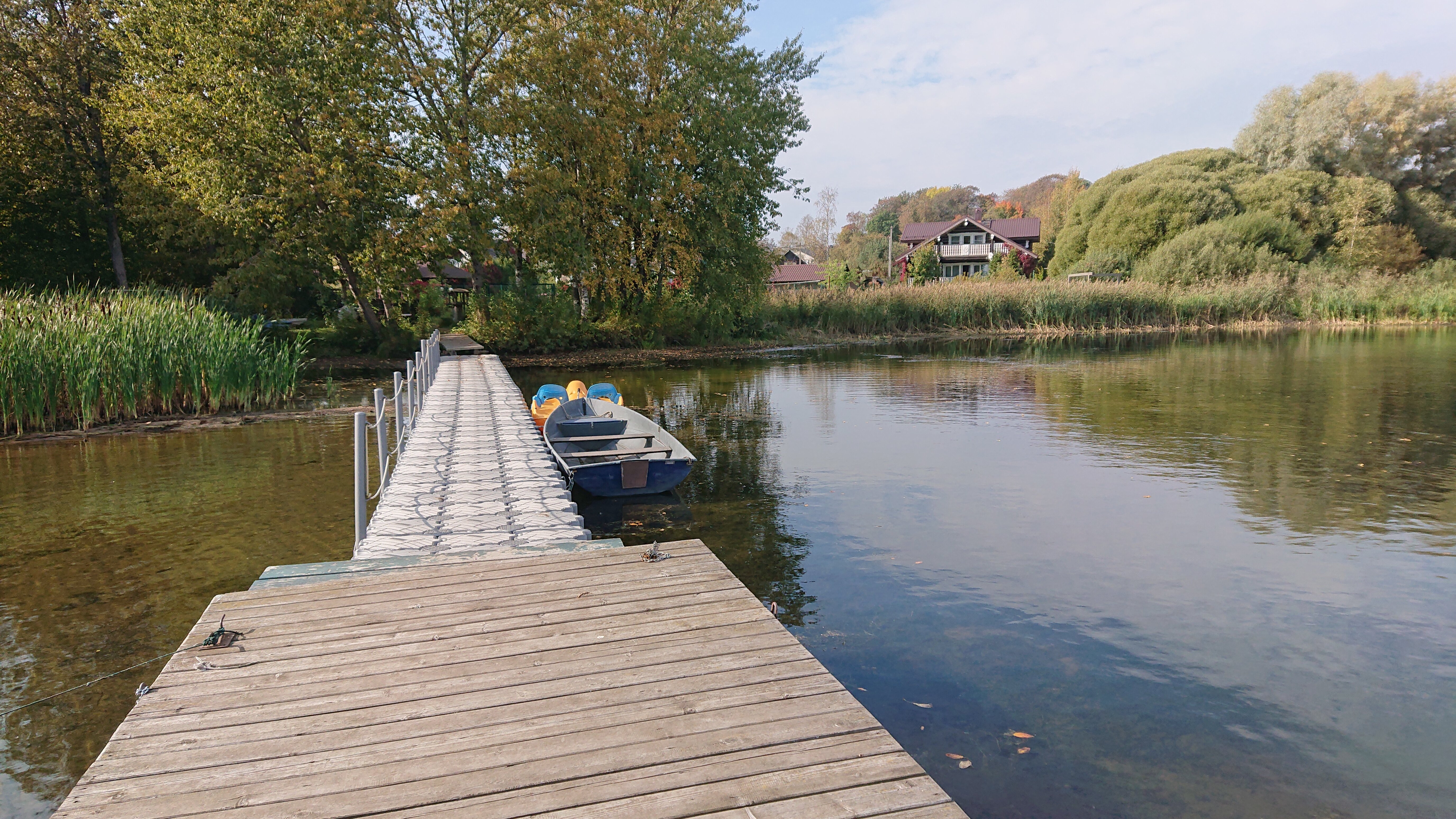 Фото Сорока