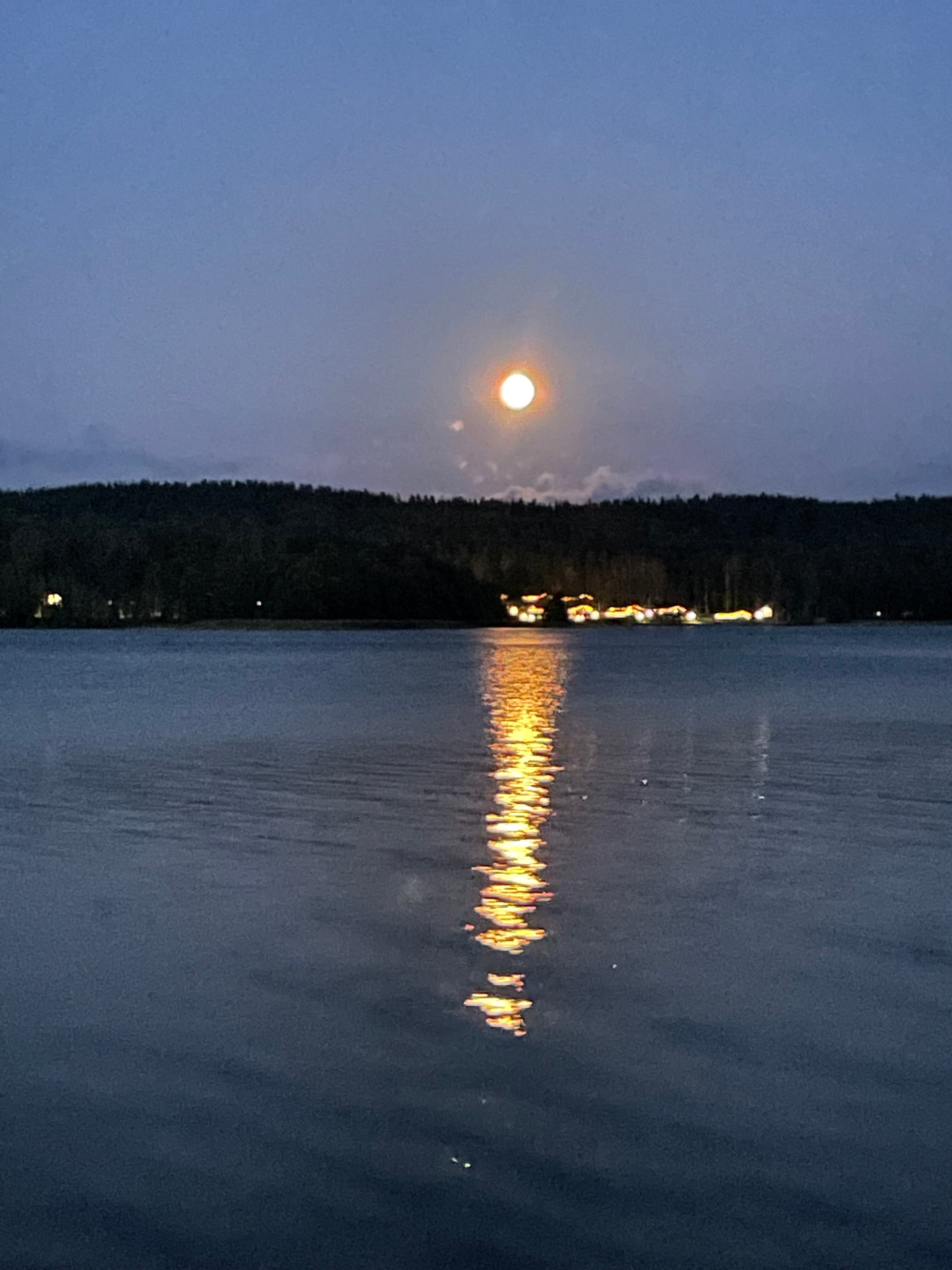 Фото Аврора