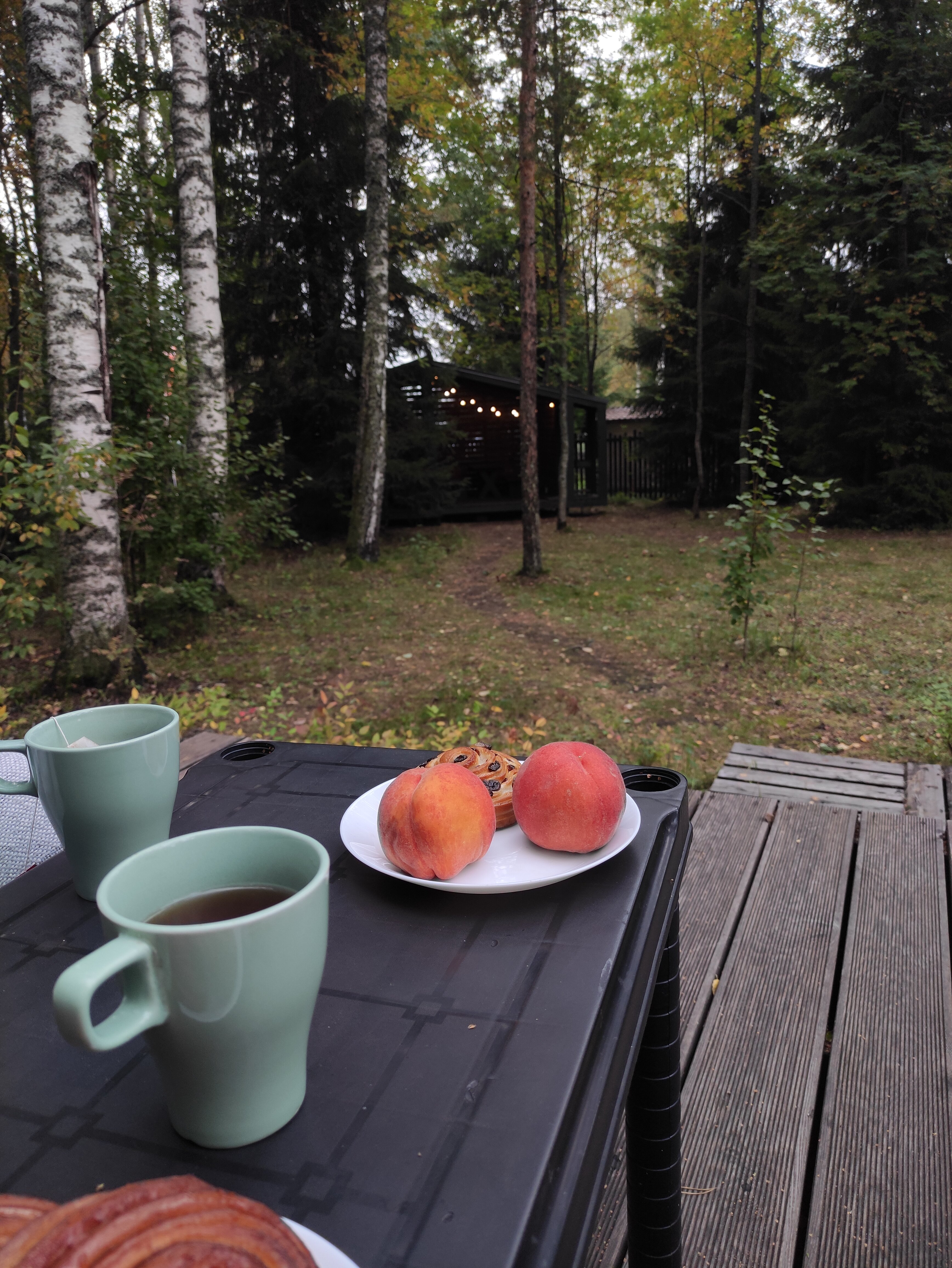 Фото Черника