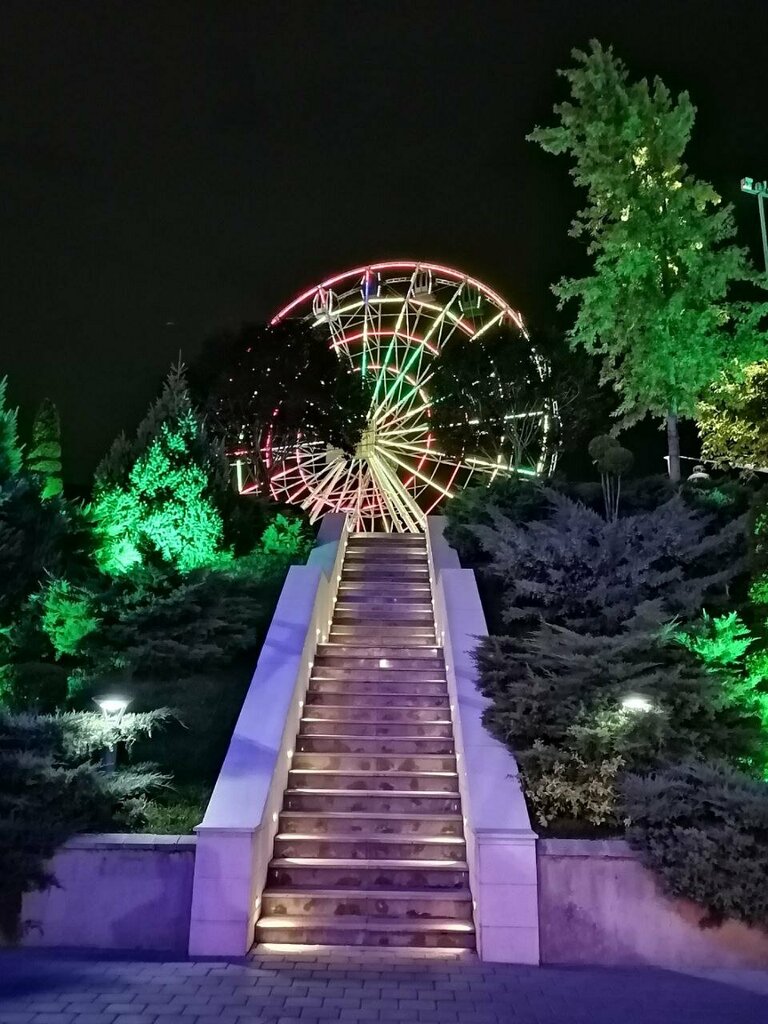 معالم ترفيهية Ferris Wheel Attraction ، ألماتي، صورة