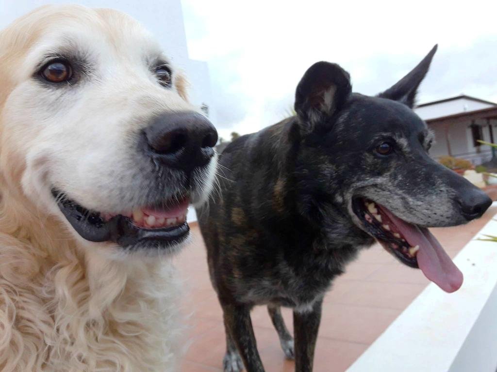 Фото Hotel Miramar