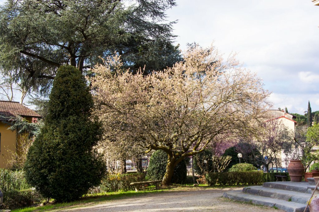 Фото Dimora Salviati