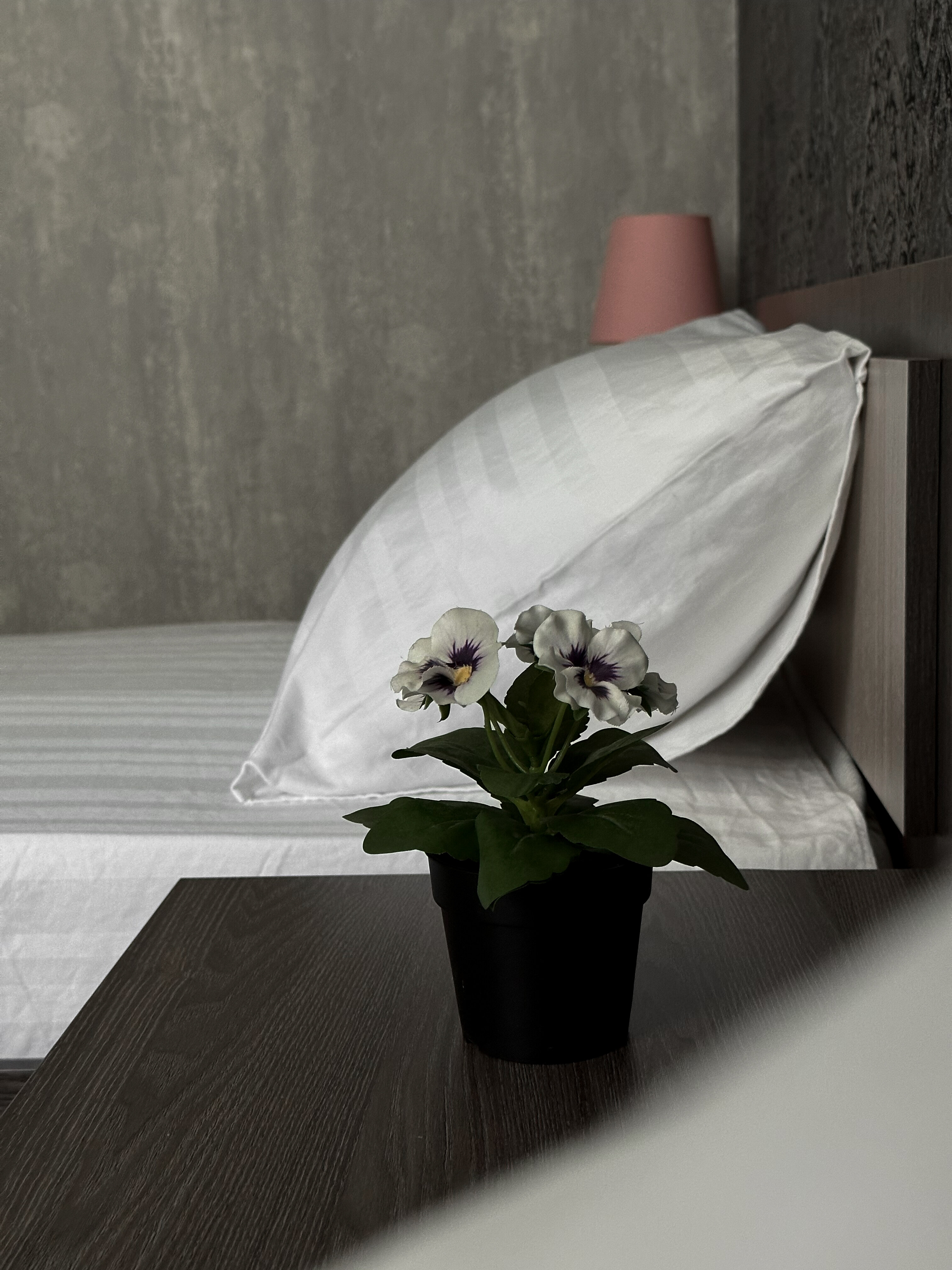 Фото Три  Кита