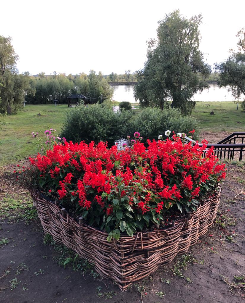 Фото Евромед