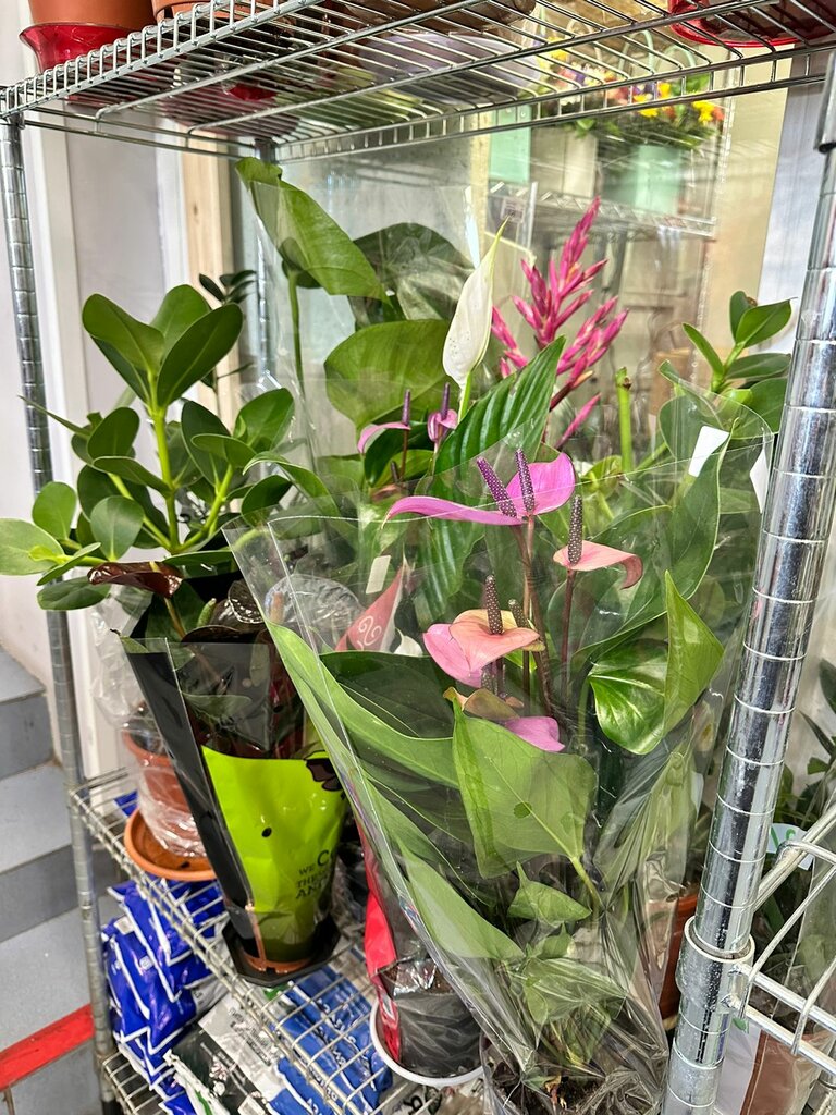 Flower shop Leto optom, Vyborg, photo
