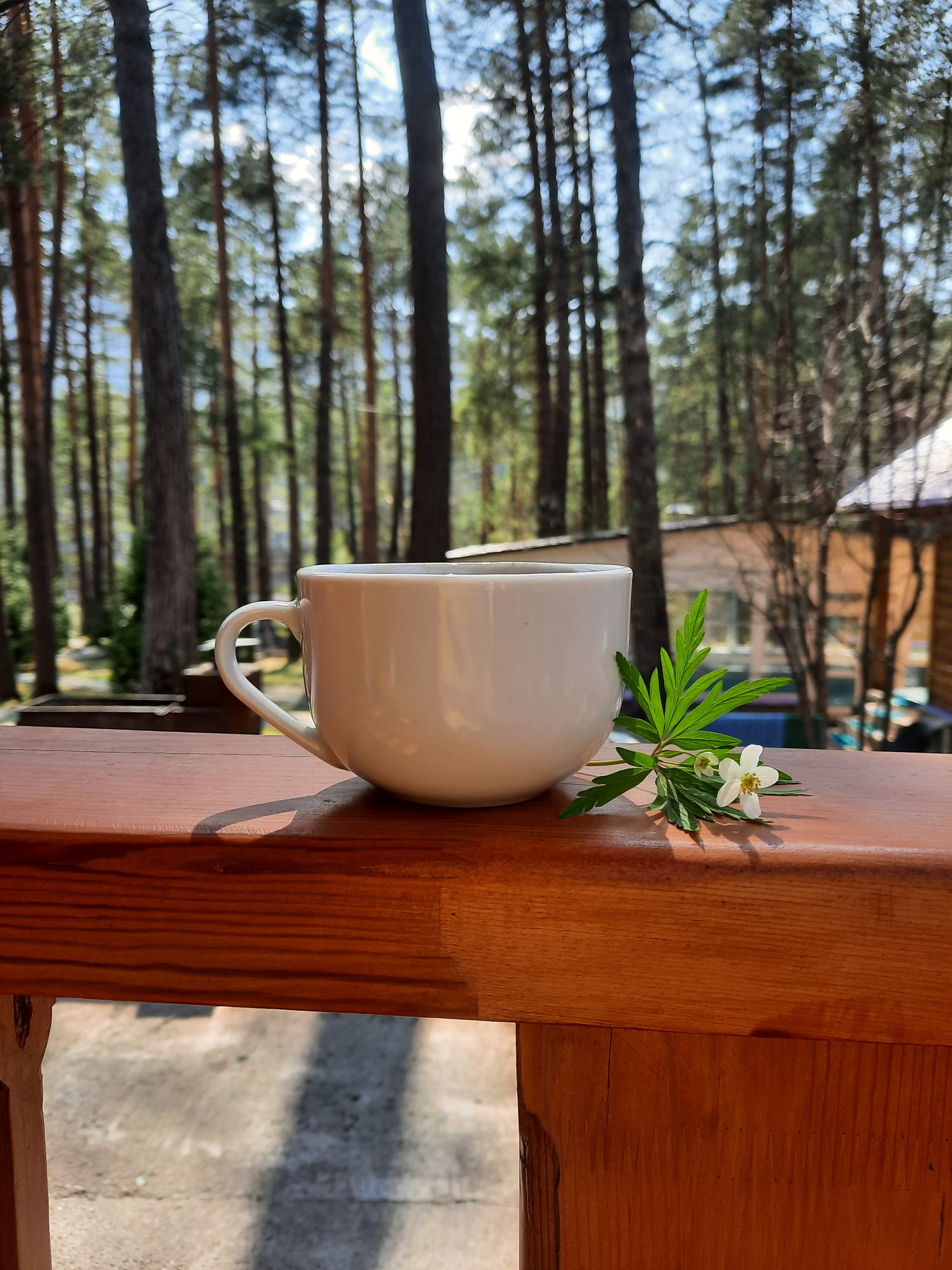 Фото Классика