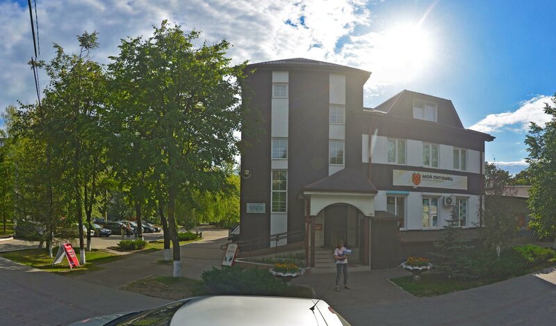 Желідегі жыныстық қатынас туралы бейнелер