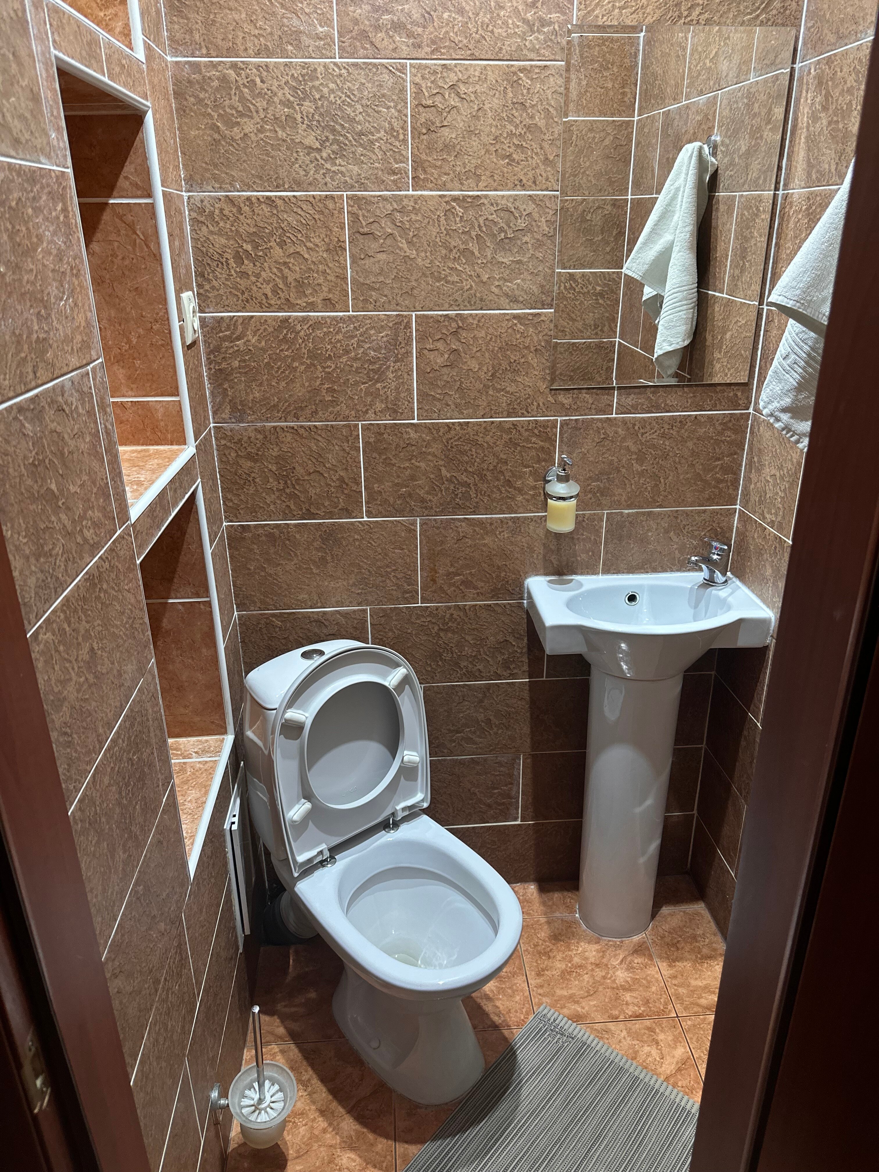 Фото Спутник