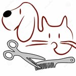 Clean and Fluffy (Rodnikovaya ulitsa No:9Ак1, Zapadniy Administrative District, Solntsevo District, Moscow), evcil hayvan kuaförleri  Moskova'dan