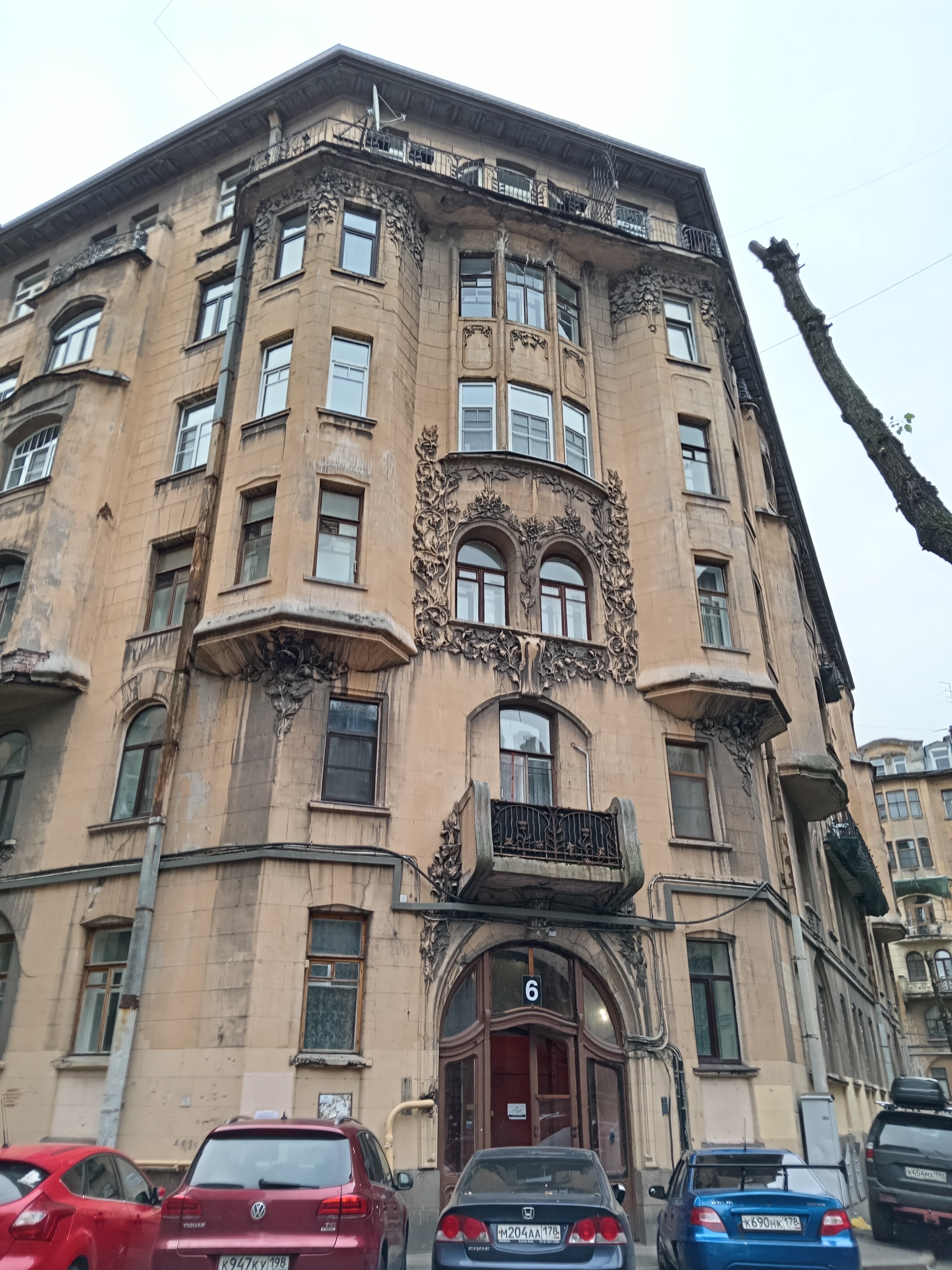 Фото Старый кот