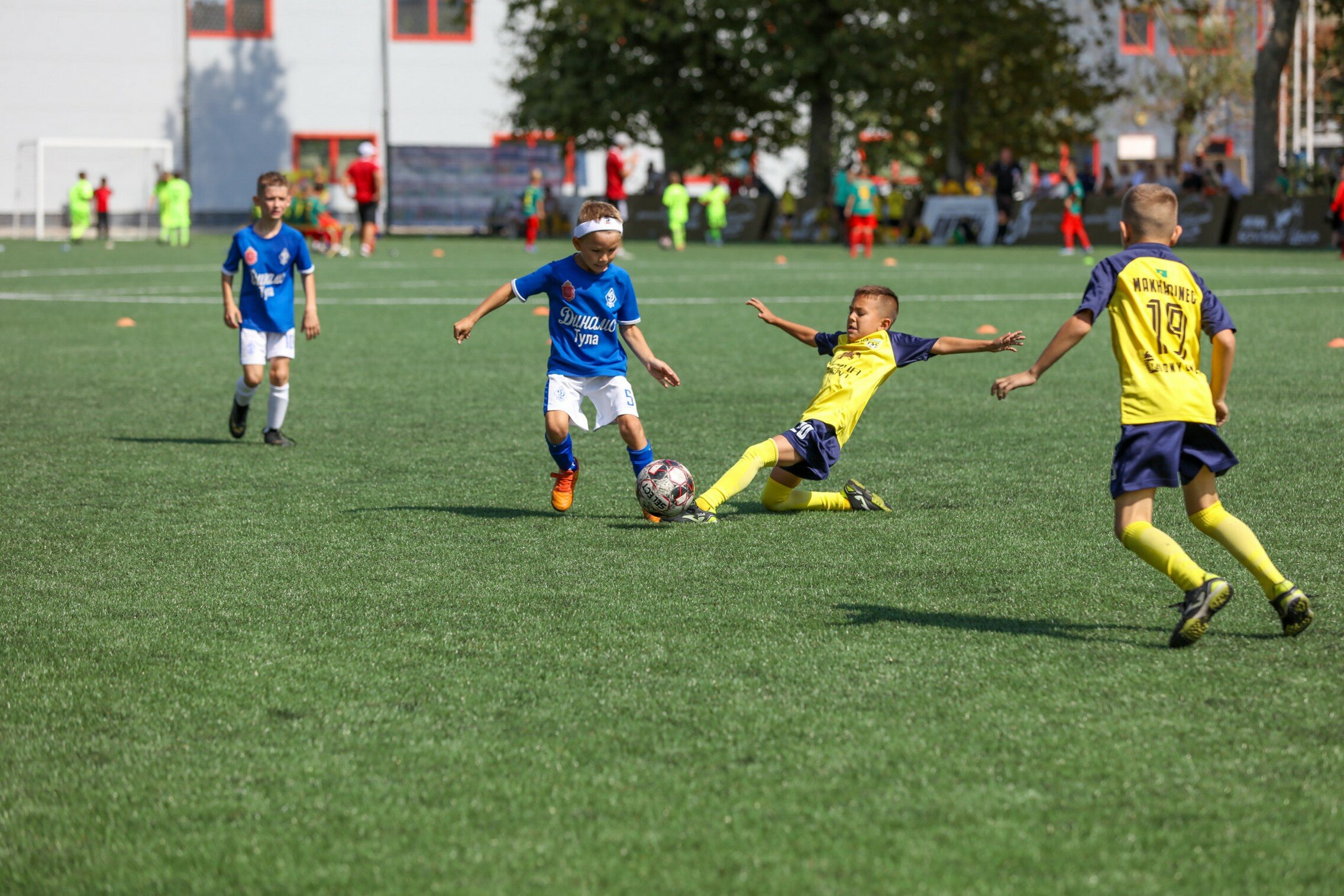 Фото Витязь