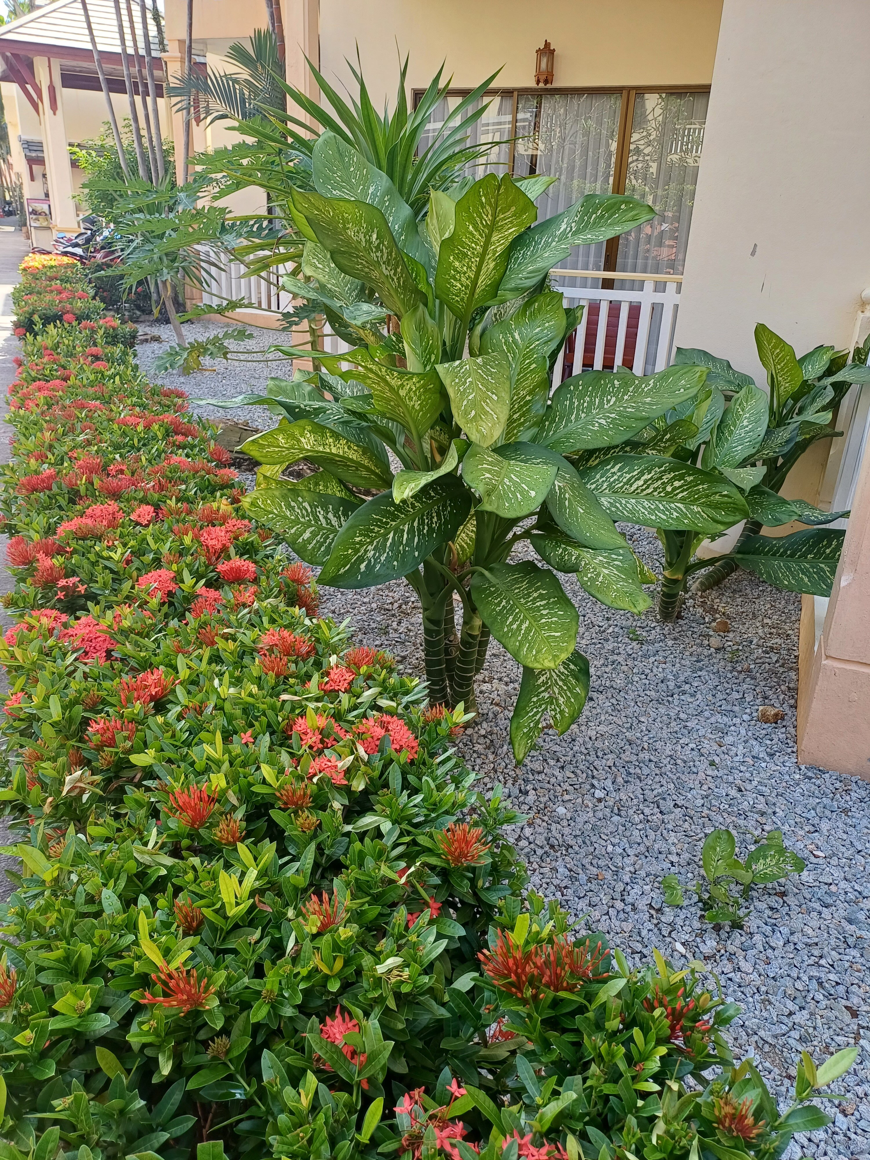 Фото Karon Princess Hotel