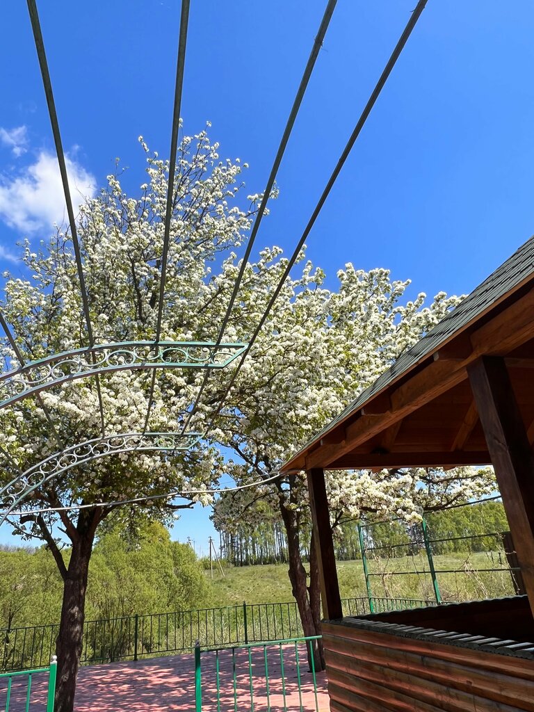 Cafe Альшанка, Oryol Oblast, photo