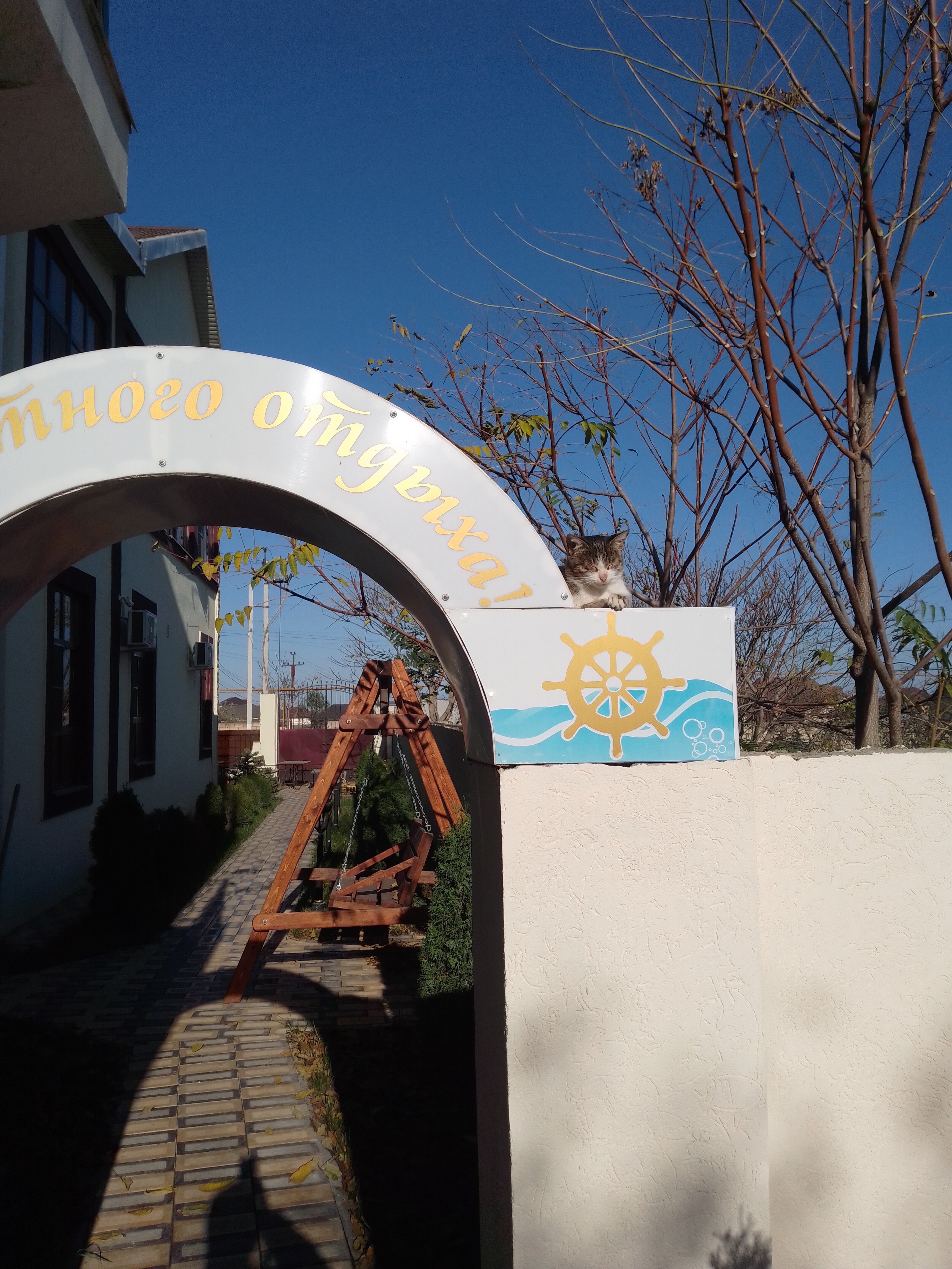 Фото Адмирал