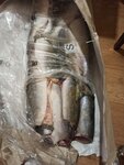 Дв-продукт (Olimpiyskaya ulitsa, 37к4), fish and seafood