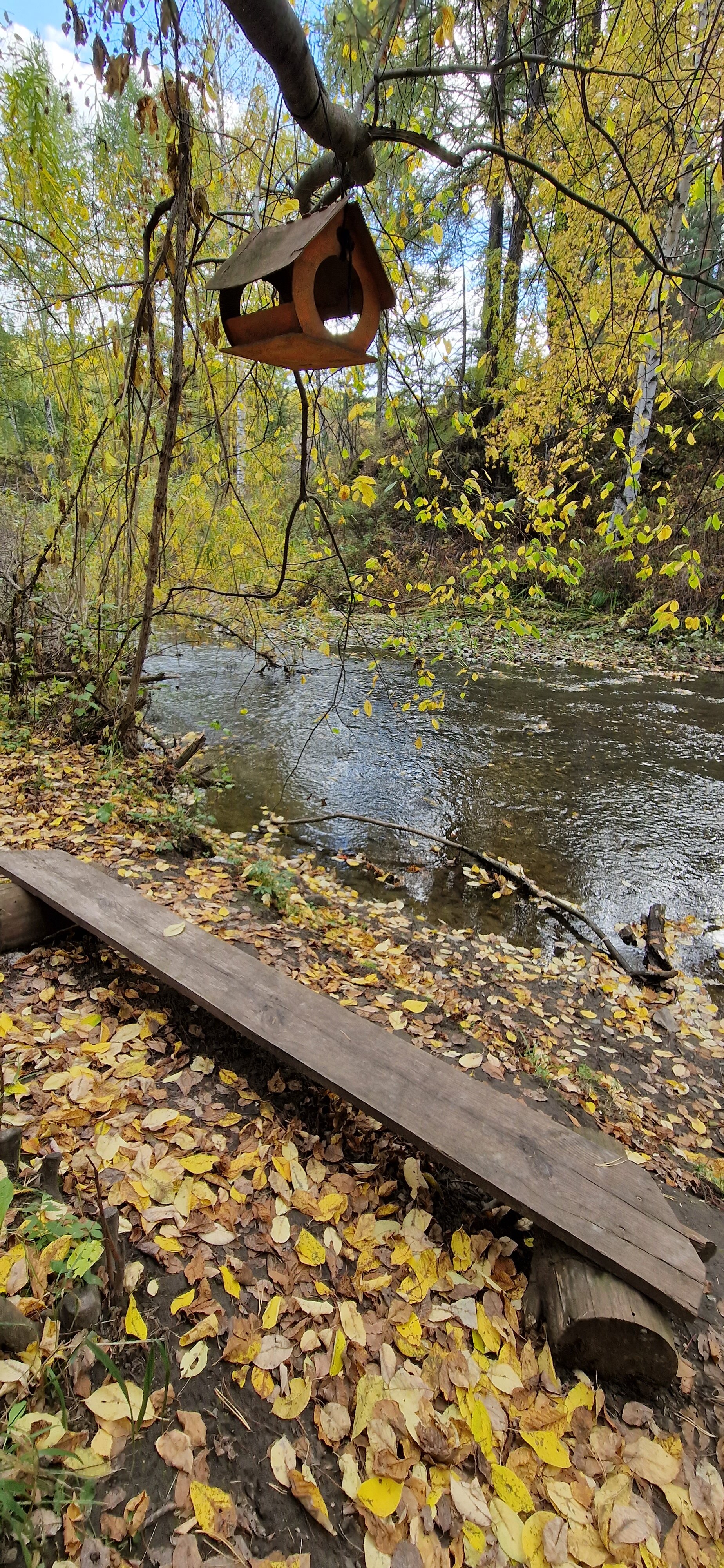 Фото Кизиловая