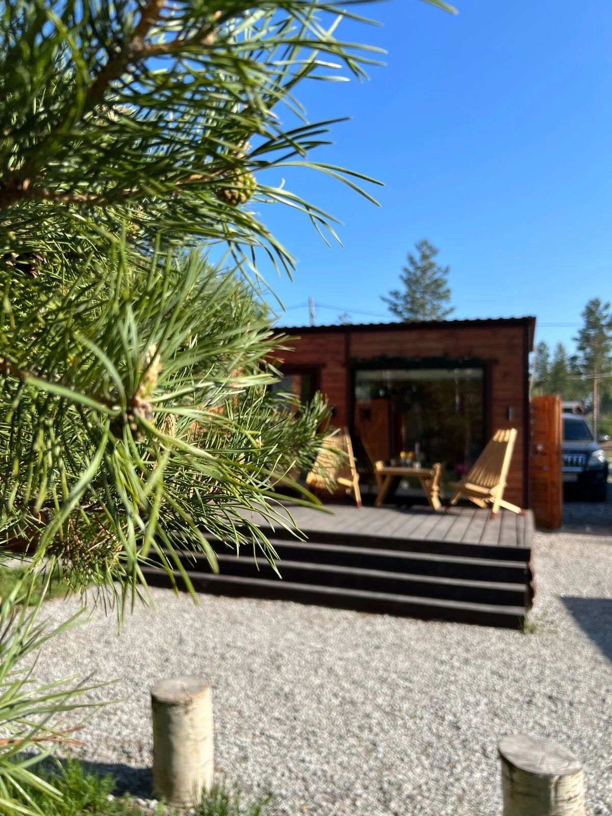 Фото Тихий Кот