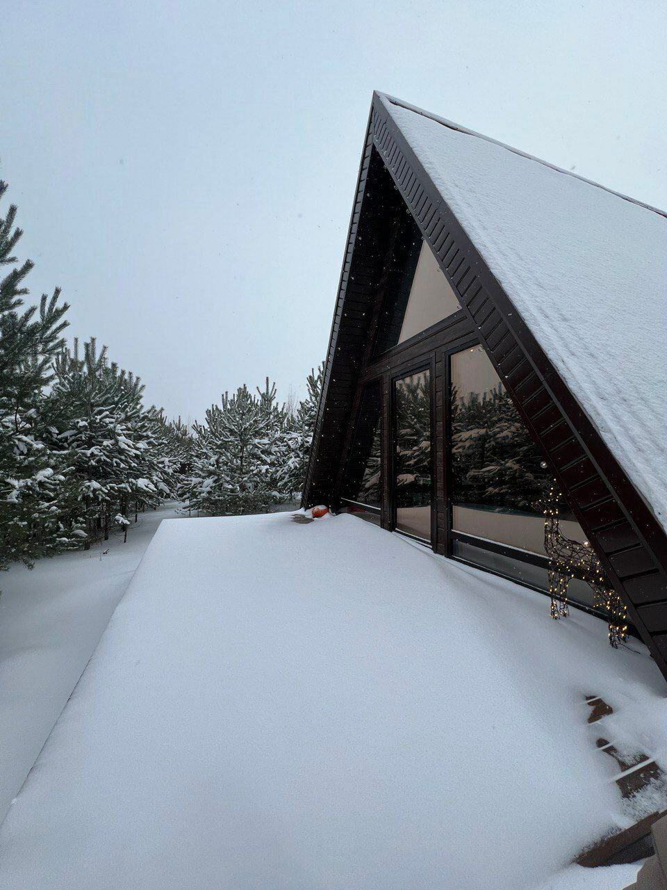 Фото Forest camp