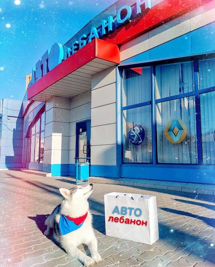 Auto parts and auto goods store Avto Lebanon, Volgograd, photo